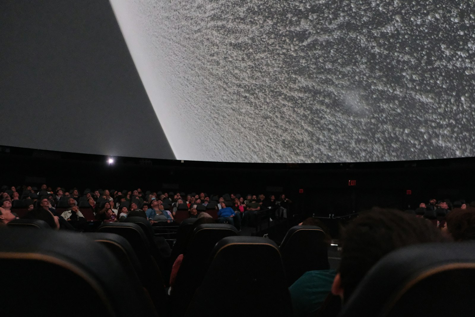 Audience watching a large screen in a darkened cinema-style room, standing in for the shared TV moment that helped the Cadbury Gorilla ad feel like an event.