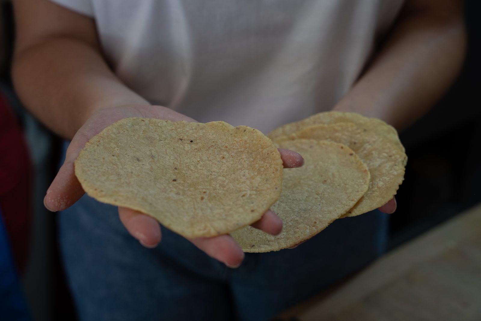 Two hands holding freshly made yellow corn tortillas