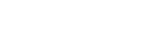 SEOptimer