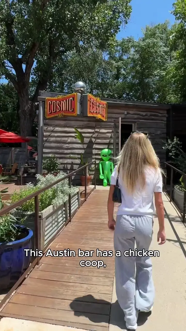 Business Spotlight UGC video sample